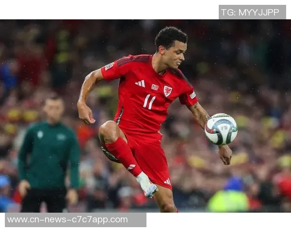 水晶宫与热刺达成协议以4000万欧签约布伦南约翰逊